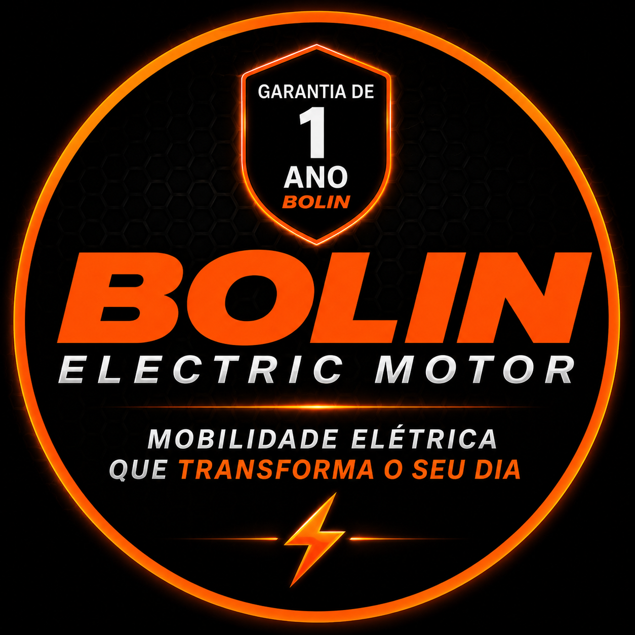 Garantia de 1 ano Bolin Electric Motor